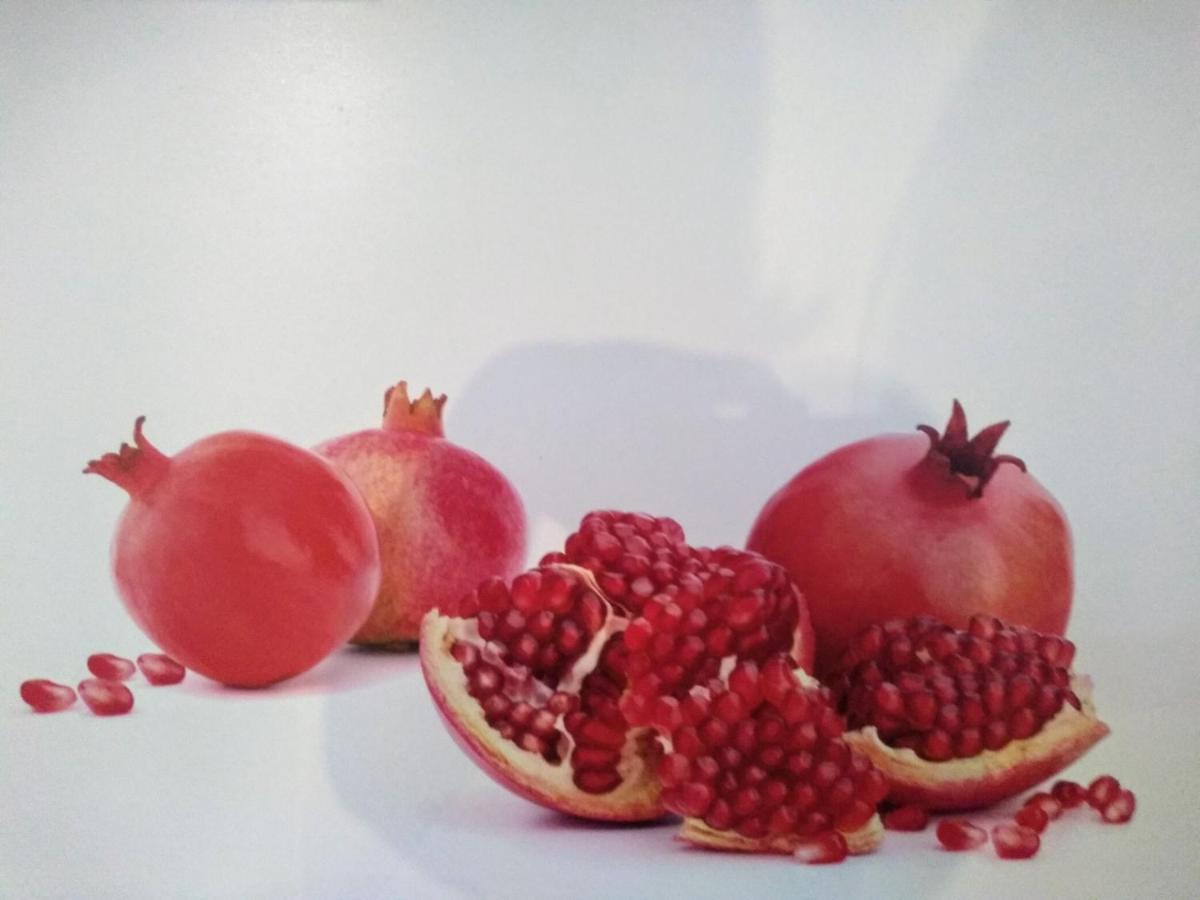 VenningenOase Der Geborgenheit公寓 外观 照片